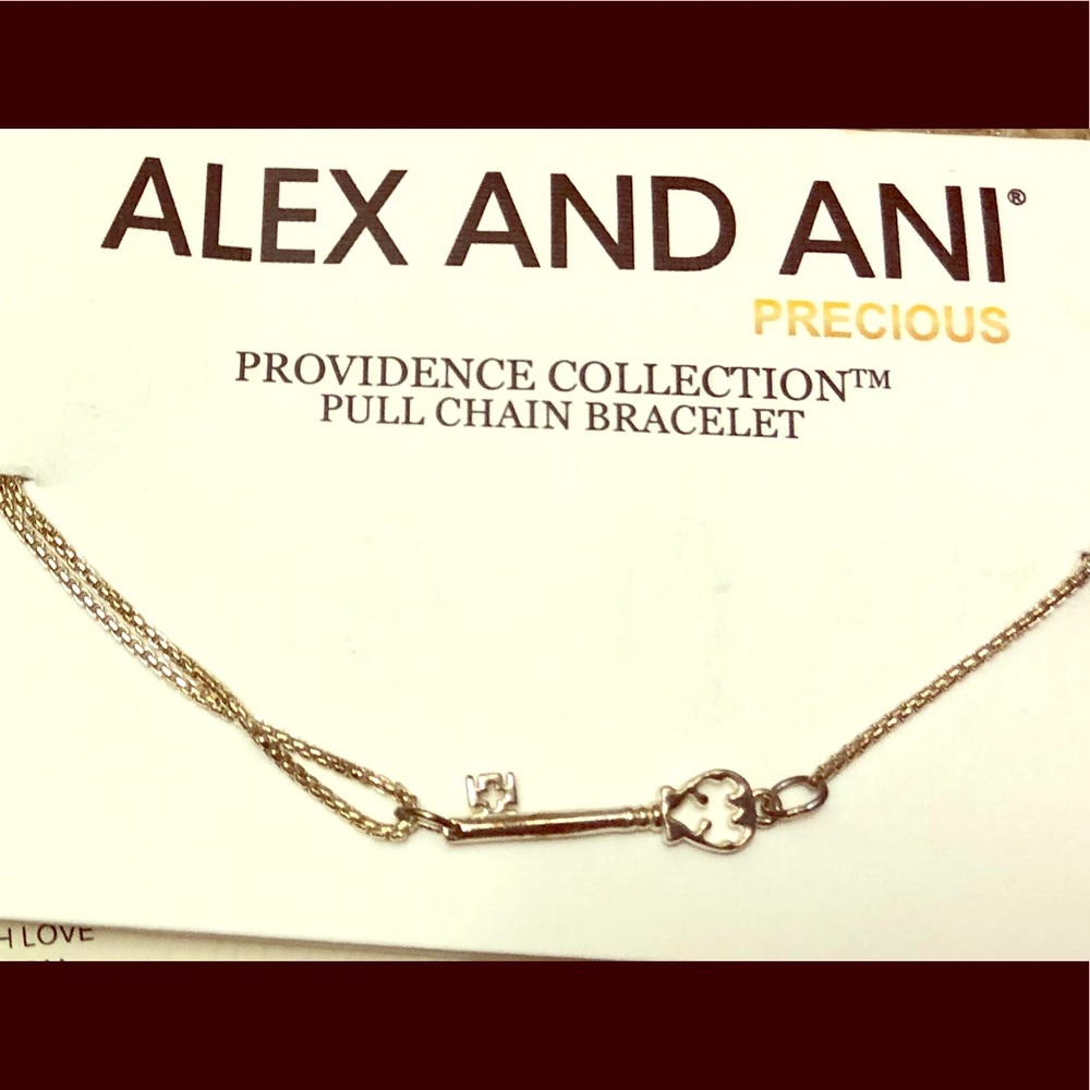 New in Package Alex and Ani Pull Chain Bracelet